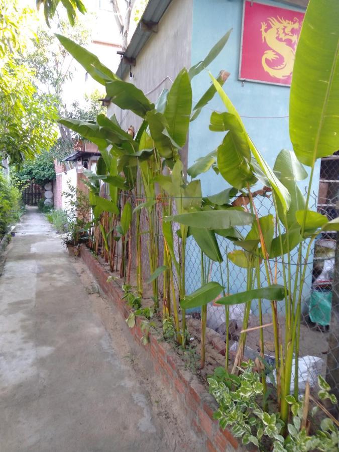 Pink Beach Homestay Hoi An Exterior foto